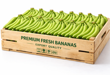 Fresh Bananas