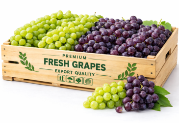 Fresh Grapes